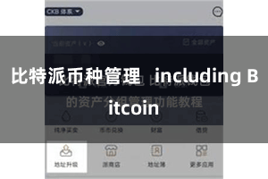 比特派币种管理 including Bitcoin