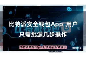 比特派安全钱包App  用户只需纰漏几步操作