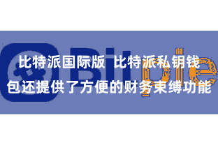 比特派国际版  比特派私钥钱包还提供了方便的财务束缚功能