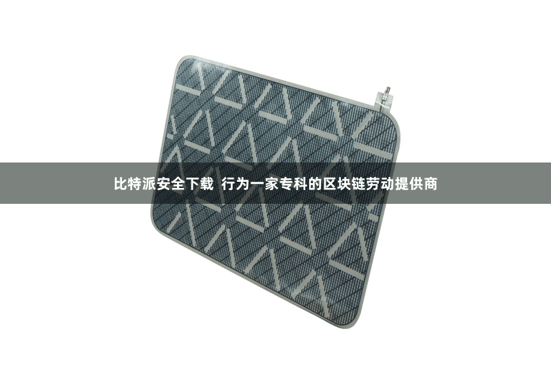 比特派安全下载  行为一家专科的区块链劳动提供商