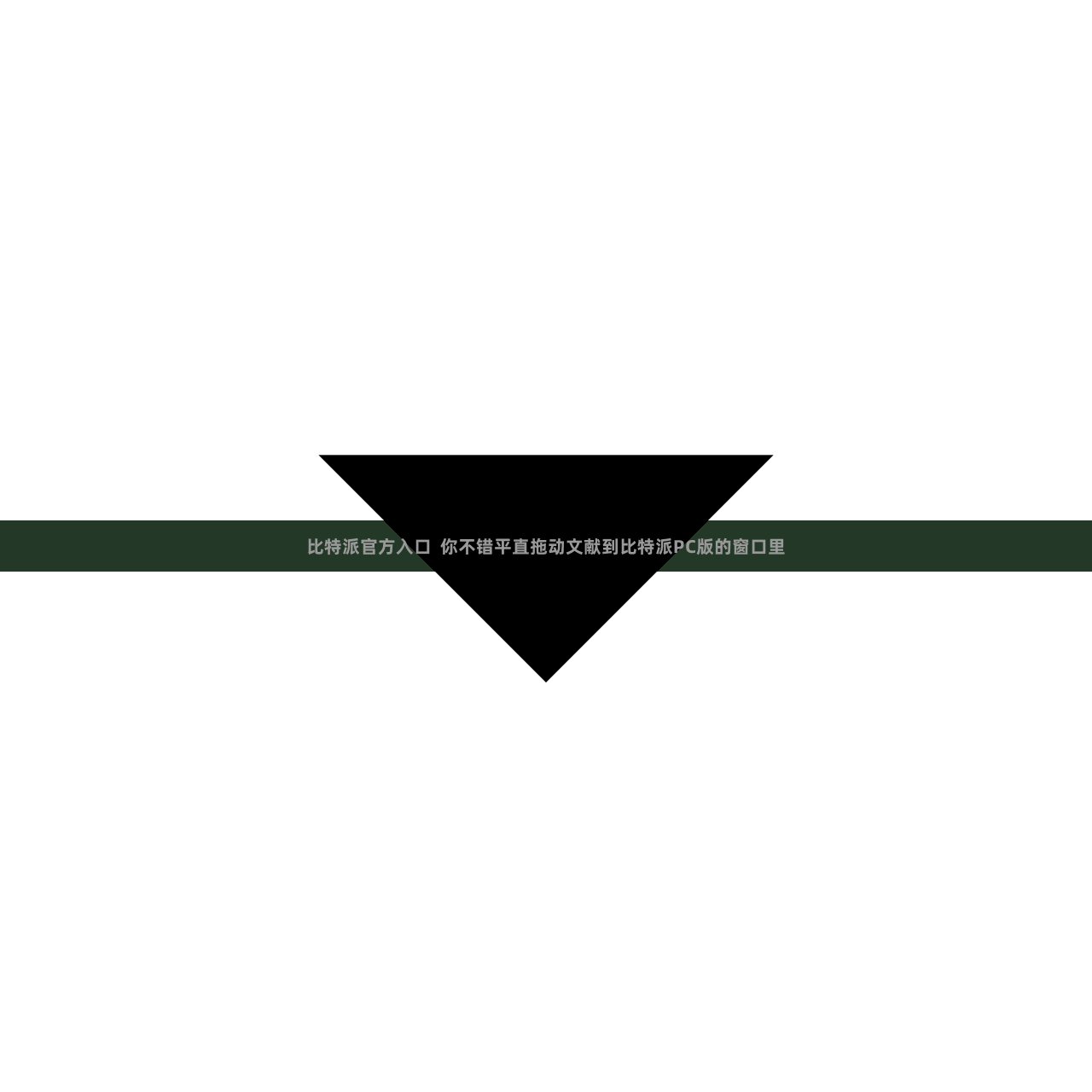 比特派官方入口  你不错平直拖动文献到比特派PC版的窗口里
