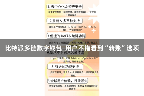比特派多链数字钱包  用户不错看到“转账”选项
